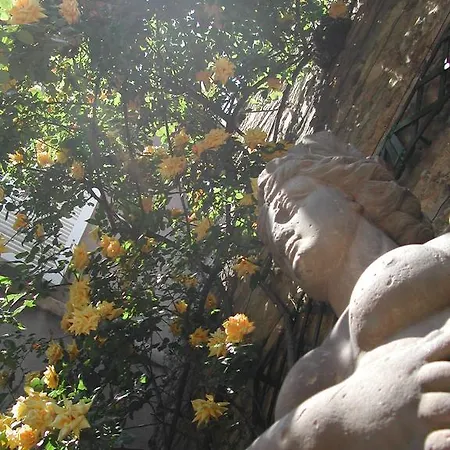 Particulier Maleteste Dijon