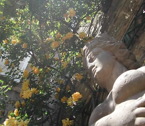 Particulier Maleteste Дижон